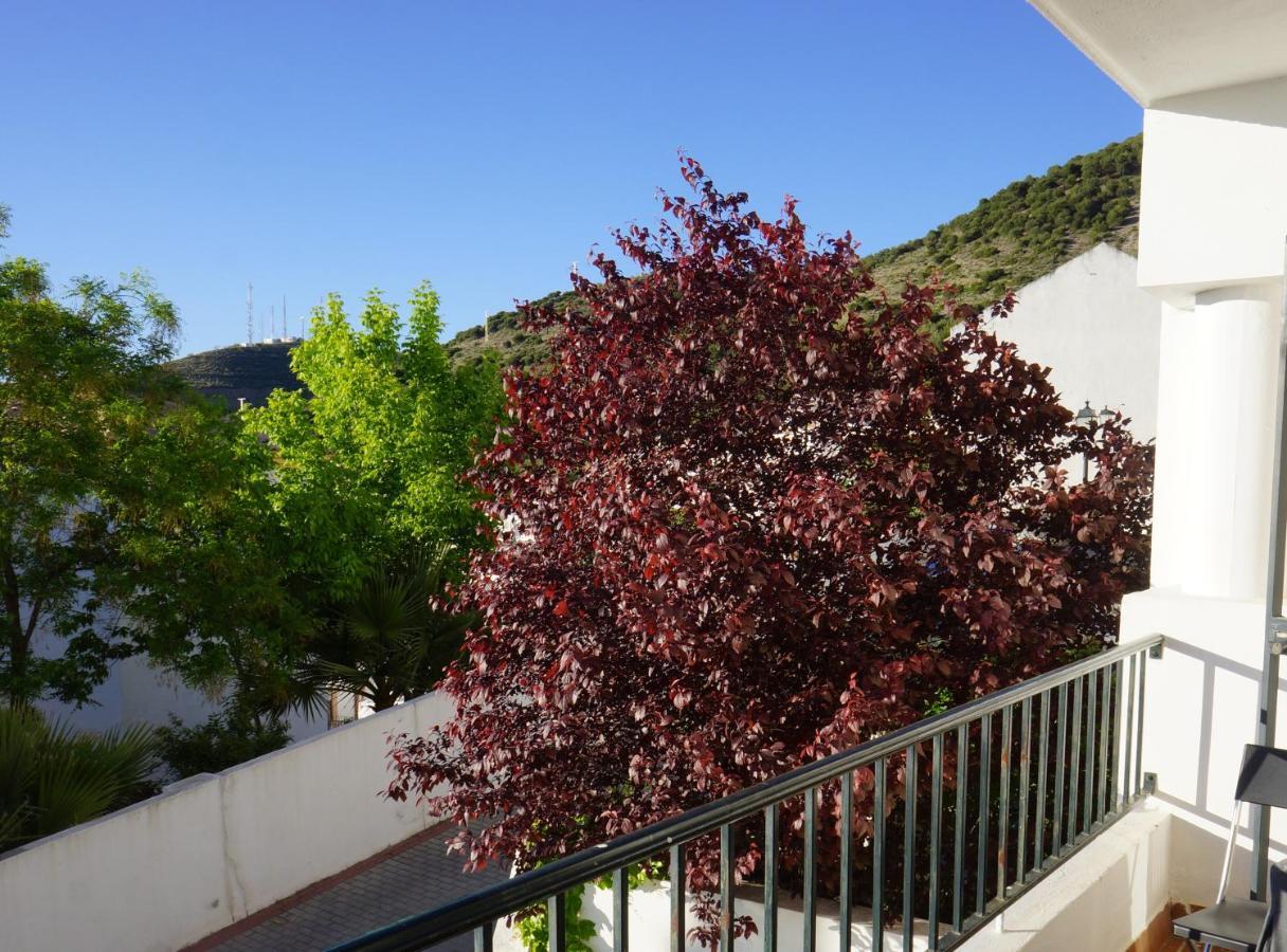 Cute And Relaxing Bed And Breakfast En Albayzin Granada Exteriör bild