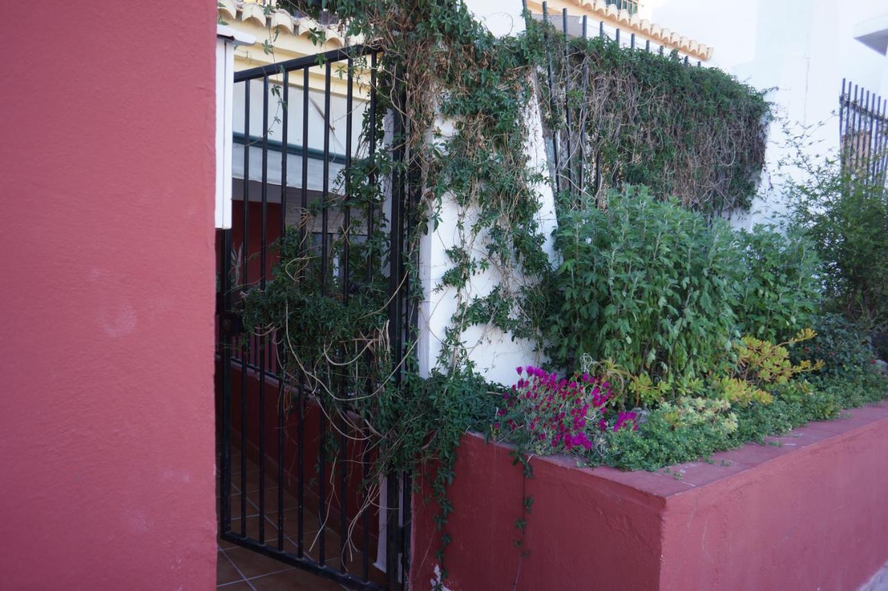 Cute And Relaxing Bed And Breakfast En Albayzin Granada Exteriör bild